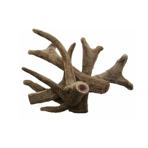 Wholesale deer antlers