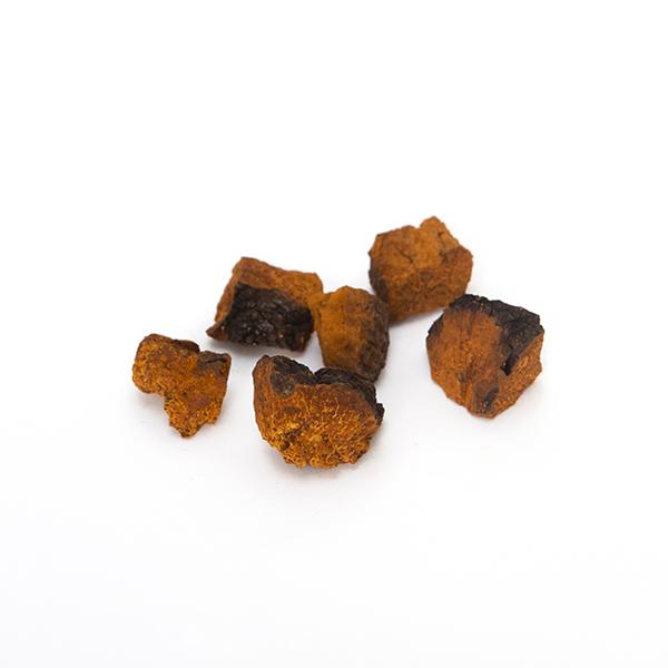 Chaga wholesale